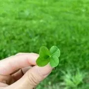 ｙｏ_ｙｏ*の画像