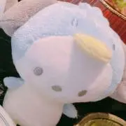 ぽぽ