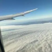 多系統の画像