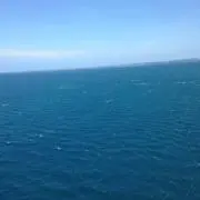 イッシー。の画像