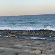 リオ