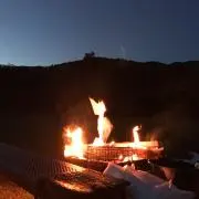 ZGJの画像