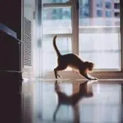 ふぁい
