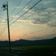 ピンクゼリー 説明書のみ5個 - メルカリ