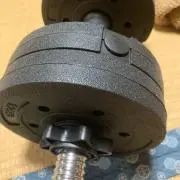 ゴリラの画像