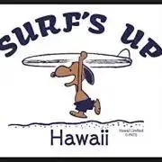 *⋆⸜  Hawaii  ⸝⋆*