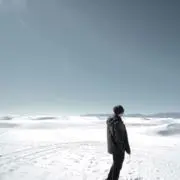 ビートル
