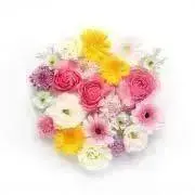 flowerの画像