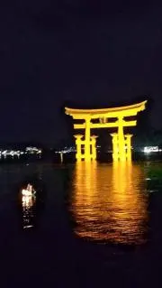 shin serviceの画像