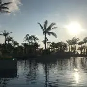 Ｔ＆Ｔの画像