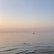 mjjの画像