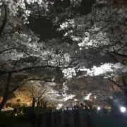 kan☆の画像