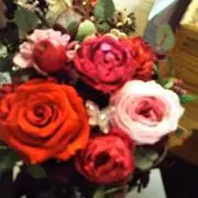 Rose❣の画像