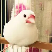 ちえみ