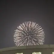 ユウゴの画像