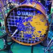 きんもー