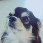 いろは