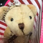 イチローの画像