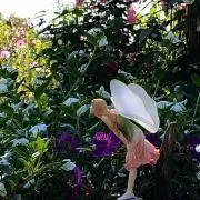 ひつじの画像