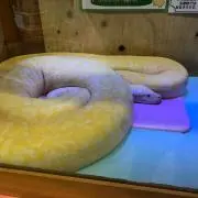 mmの画像
