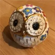 ニコの画像