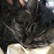 ゆう