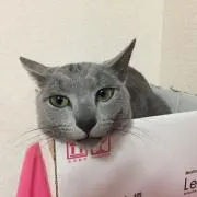 つっつー