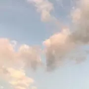 MS