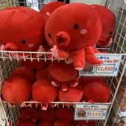 旬のさけの画像