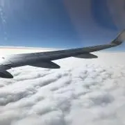 Naokiの画像