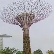 あなの画像