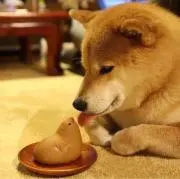 楼座の画像