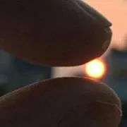 みかんの画像