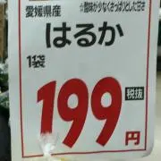はるか