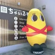 北のステラの画像