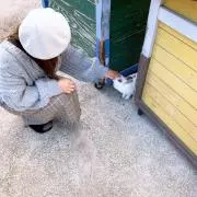 すみちゃんの画像