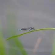 ひろしの画像