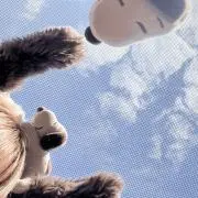 Pの画像