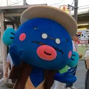 Shiooonの画像