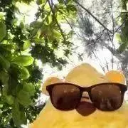 もんの画像