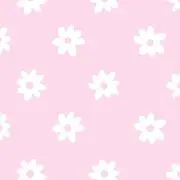 あーちゃんの画像