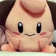 ぽんちゃん0423の画像