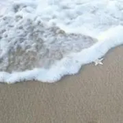 夏の海。【断捨離中】