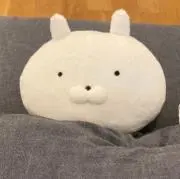 みかん