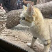 みーちゃん