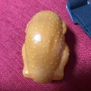 とりどし