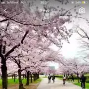 ゆうとの画像