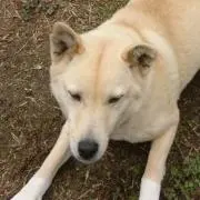 ぶっぱ