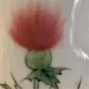 Yumaの画像