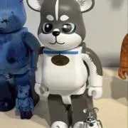 rocky557766の画像